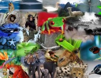 /album/animales-extintos/animales-autocollage-25-images-thumb-7-jpg/
